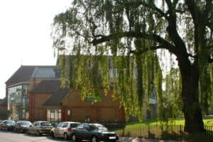 A look back at 2017￼