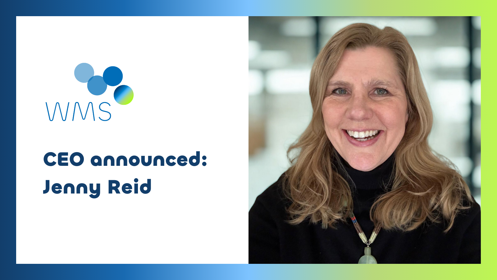 WMS appoints a new CEO